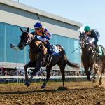 Chip Honcho, Ocelli Finish 1-2 in Exciting Ohio Derby